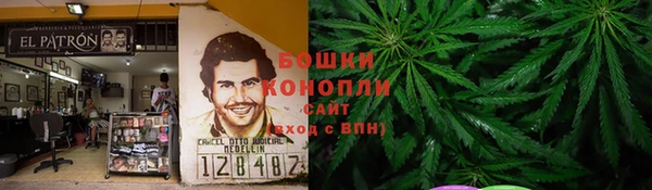 молекула духа Балахна