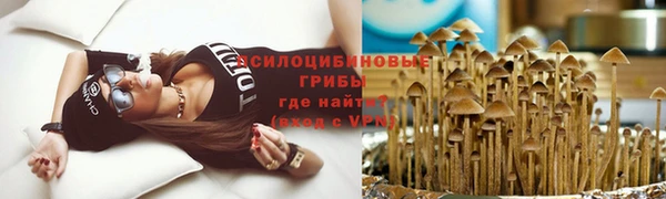 бошки Баксан