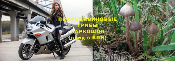 ГАЛЛЮЦИНОГЕННЫЕ ГРИБЫ Балабаново