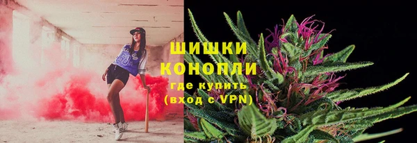 ГАЛЛЮЦИНОГЕННЫЕ ГРИБЫ Балабаново