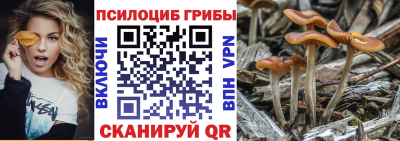 Псилоцибиновые грибы ЛСД  гидра онион  Покровск 